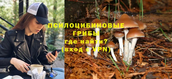 скорость Коряжма