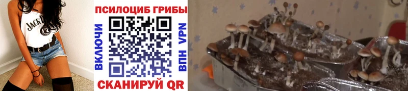 Галлюциногенные грибы MAGIC MUSHROOMS  Купить закладки  Лабытнанги 